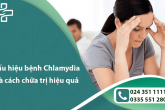 Dấu hiệu bệnh Chlamydia và cách chữa trị hiệu quả nhất