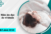 Nấm âm đạo nguyên nhân do vi khuẩn gây viêm