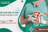 6 bệnh ở bộ phận tử cung của phụ nữ dễ gây vô sinh
