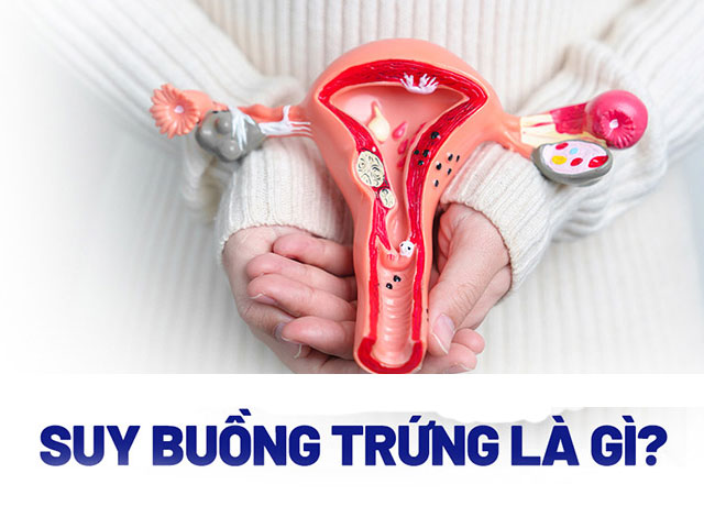 Đột nhiên mất kinh nguyệt, vì sao? 26 Suy-Buồng-Trứng-Sớm