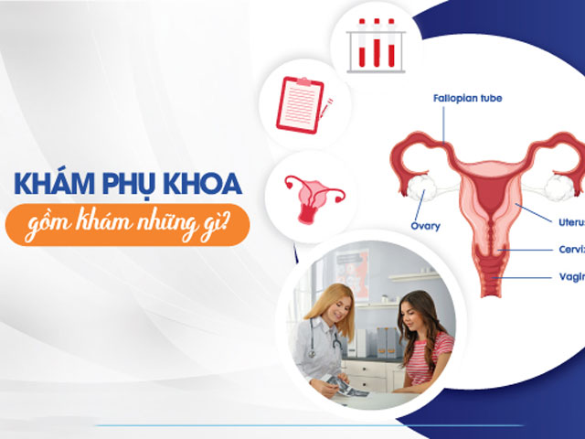 Phòng Khám Phụ Khoa Tốt Nhất Hà Nội – Bác Sĩ Giỏi 7 Khám-phụ-khoa-tổng-quát